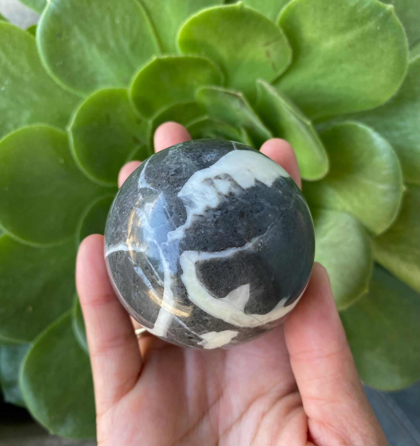 Shell Jasper Sphere with stand