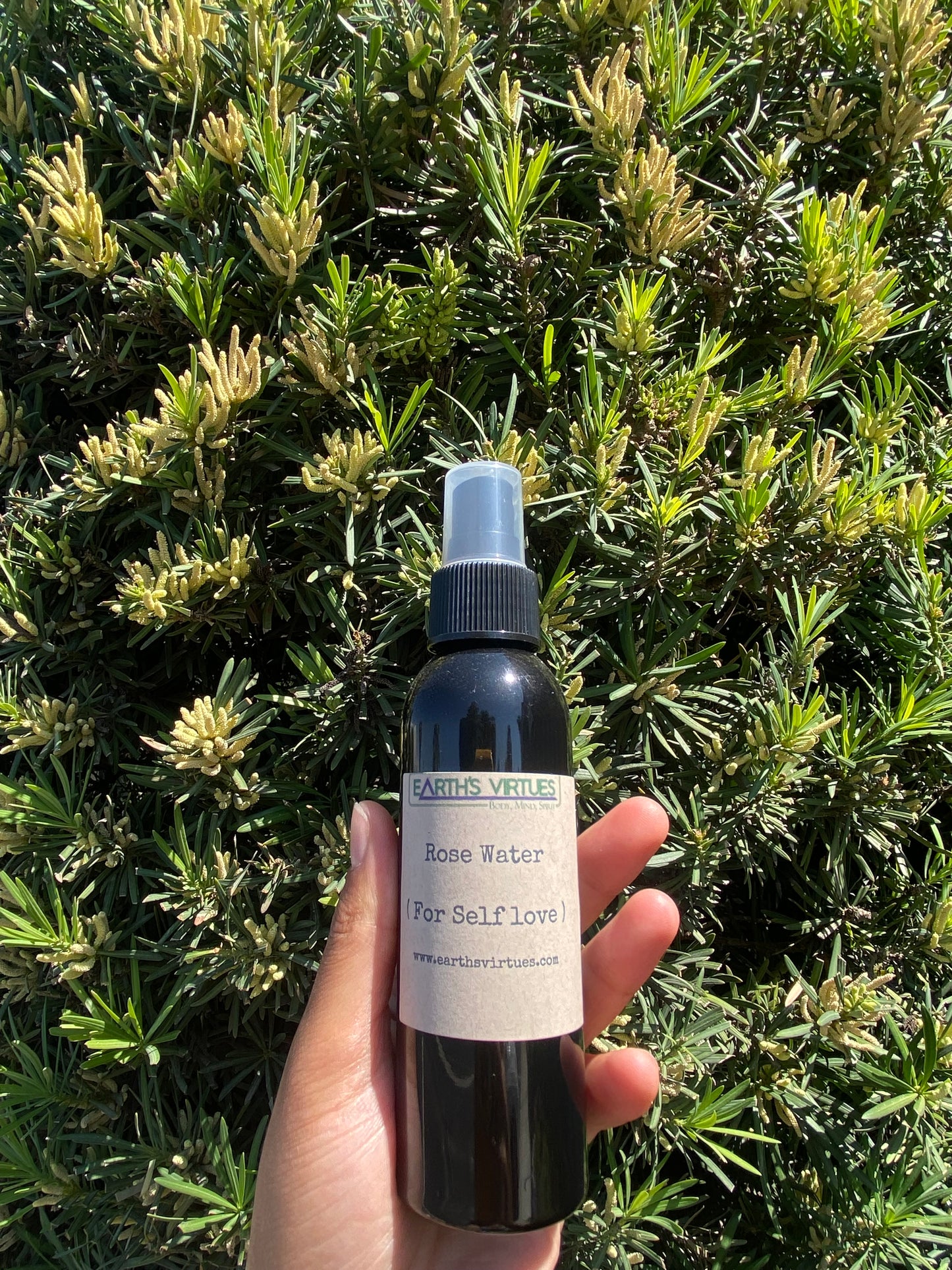 Self Love Rose Water Spray